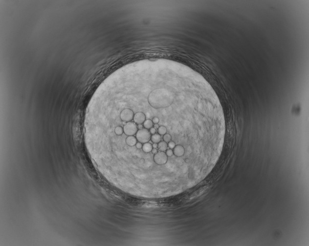 X0000115090416200912081239