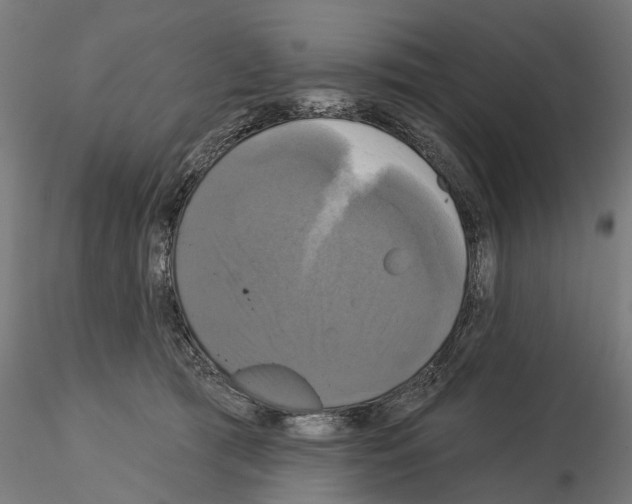 X0000115090417200912081239