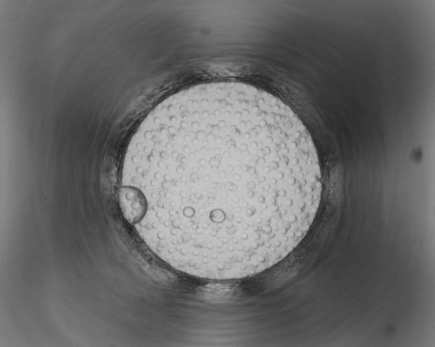 X0000115090418200912081239