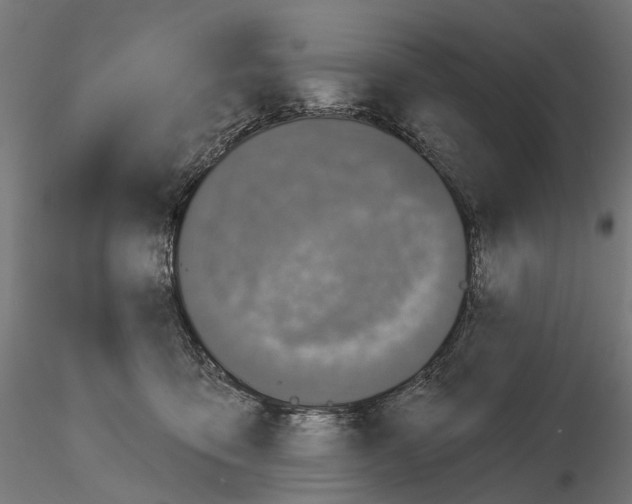 X0000115090419200912081239