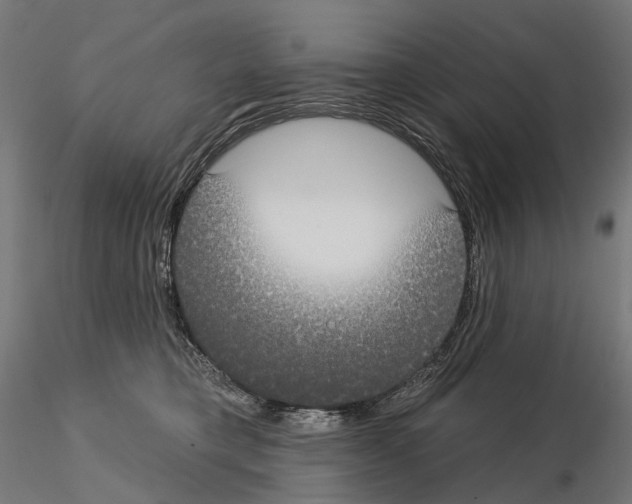 X0000115090421200912081239