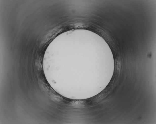 X0000115090422200912081239