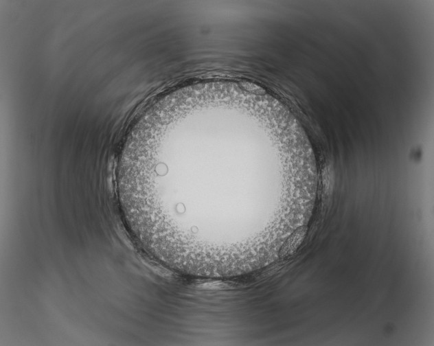 X0000115090423200912081239