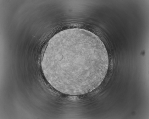 X0000115090424200912081239