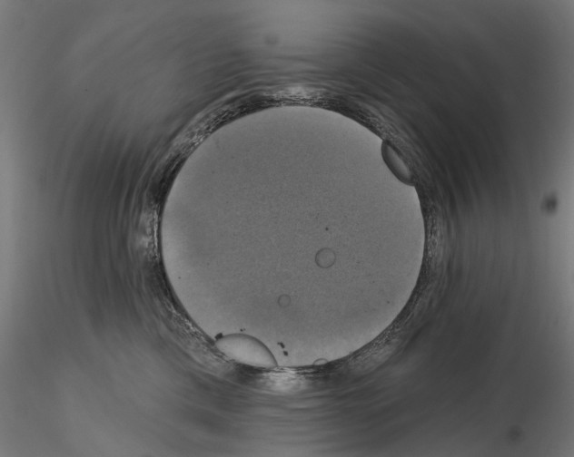 X0000115090425200912081239