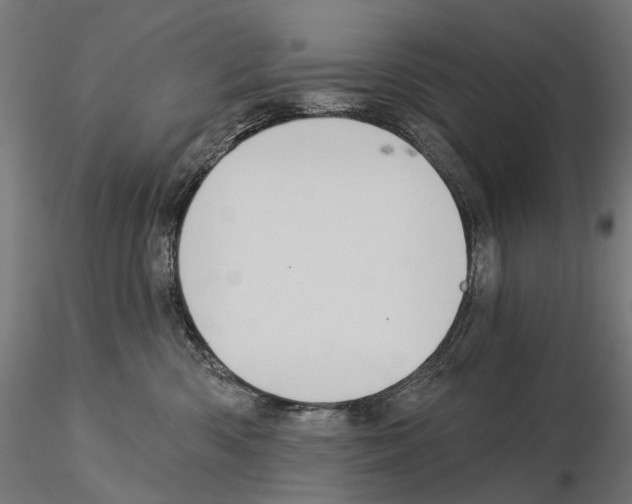 X0000115090426200912081239