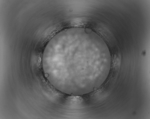 X0000115090427200912081239