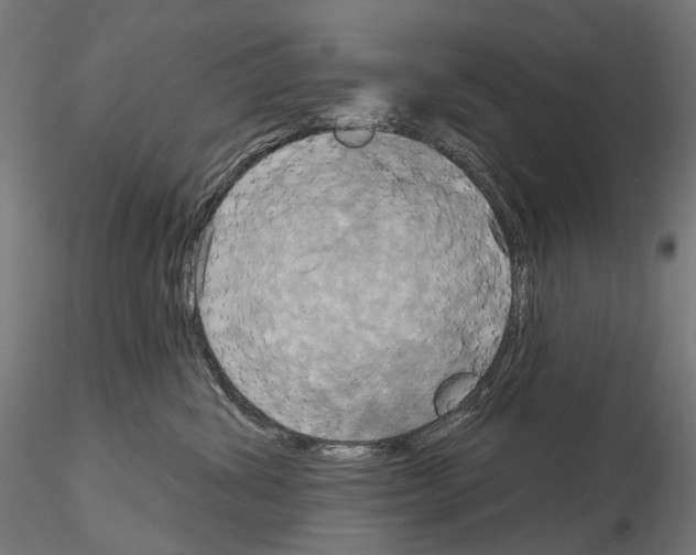 X0000115090428200912081239