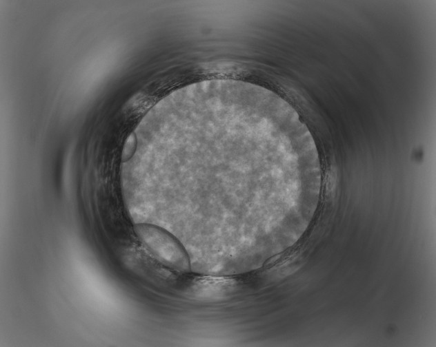 X0000115090429200912081239