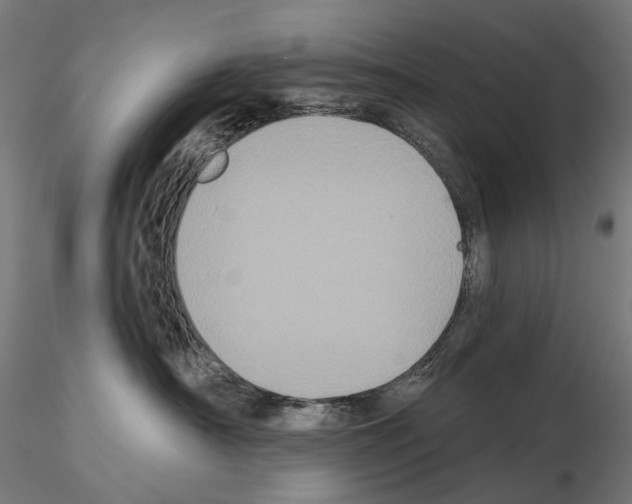 X0000115090430200912081239