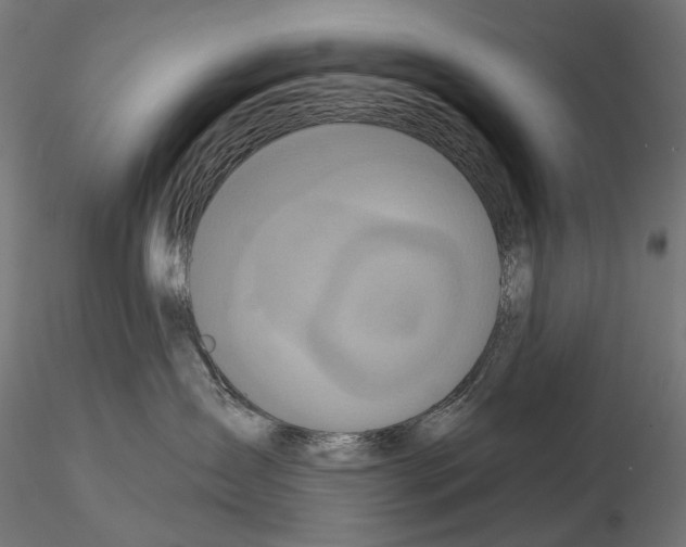 X0000115090431200912081239