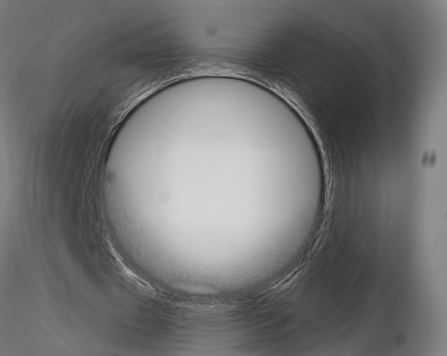 X0000115090433200912081239