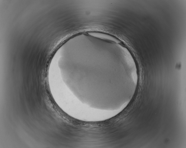 X0000115090434200912081239