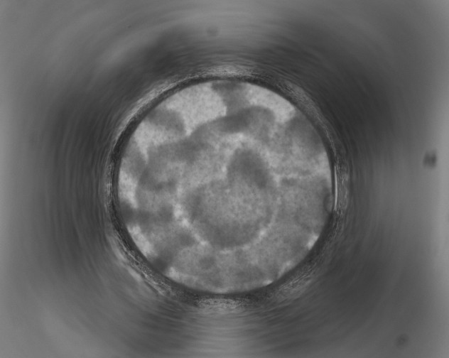 X0000115090435200912081239