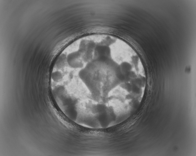 X0000115090437200912081239