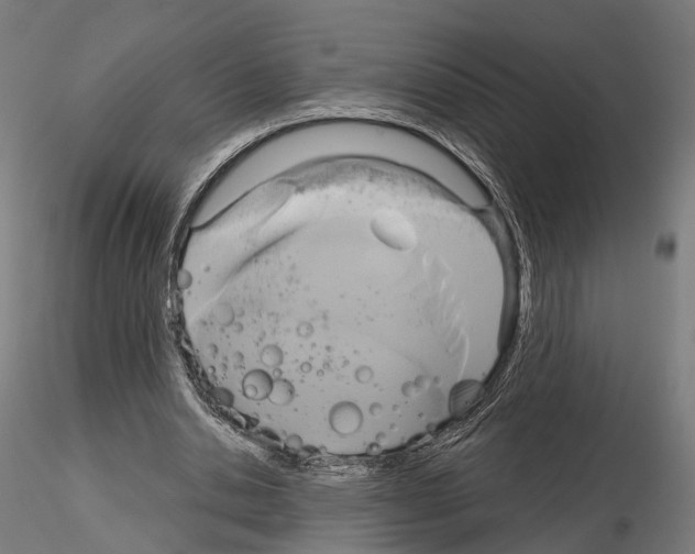 X0000115090438200912081239