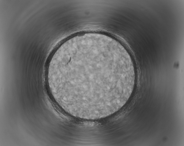 X0000115090439200912081239