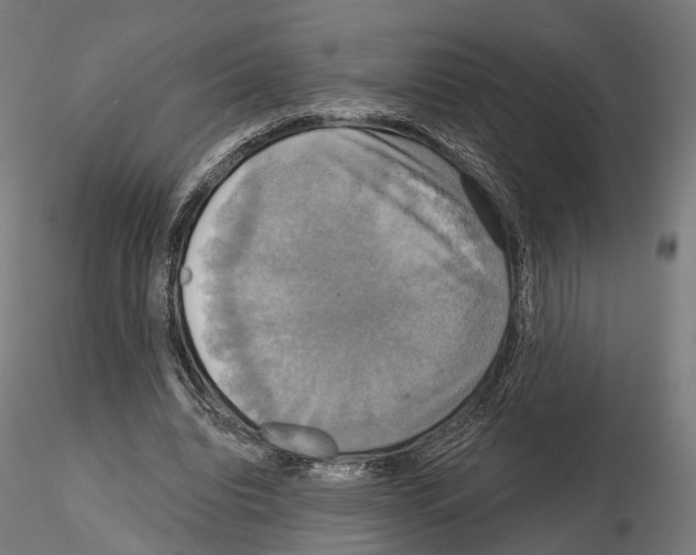 X0000115090440200912081239