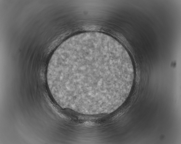 X0000115090441200912081239