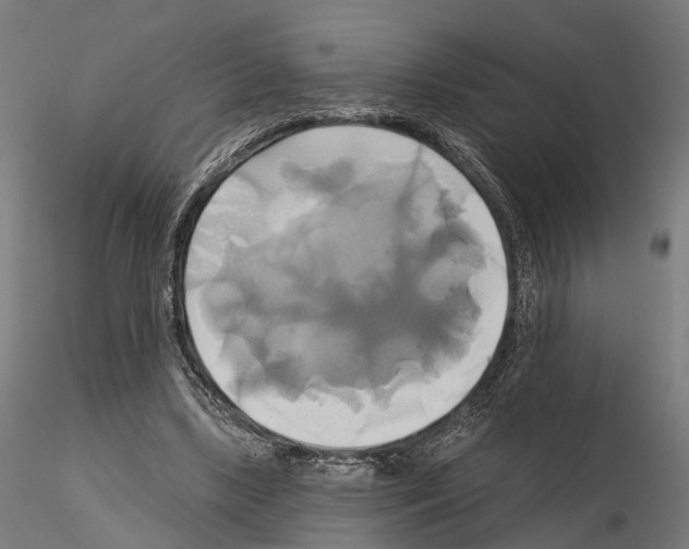 X0000115090443200912081239