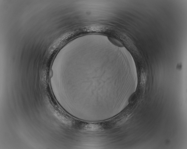 X0000115090444200912081239