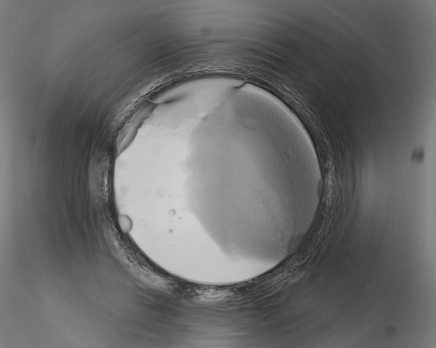 X0000115090446200912081239