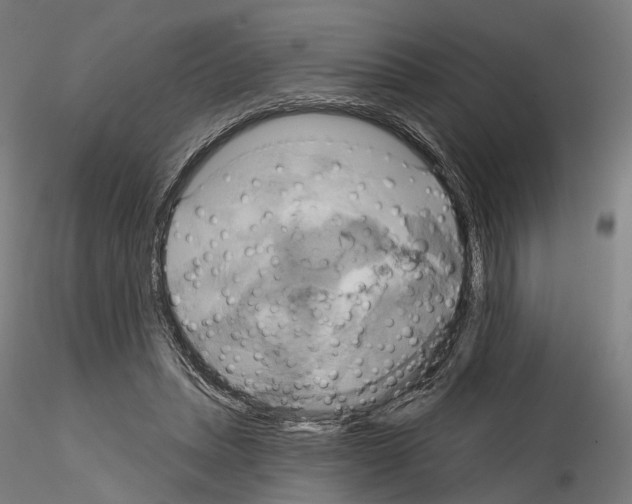 X0000115090447200912081239