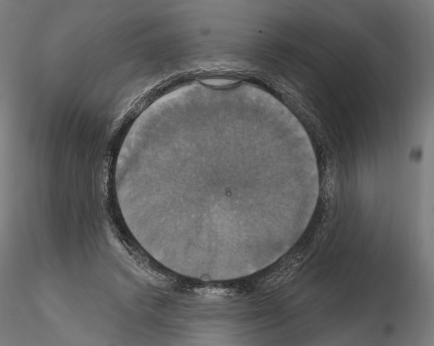 X0000115090448200912081239