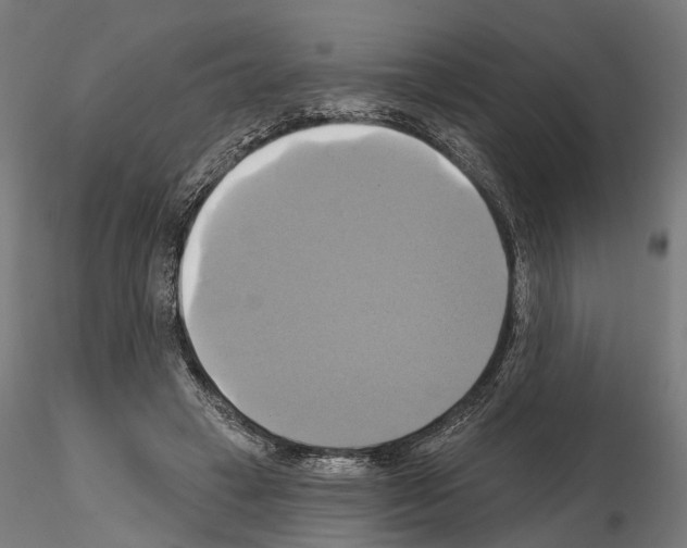 X0000115090449200912081239