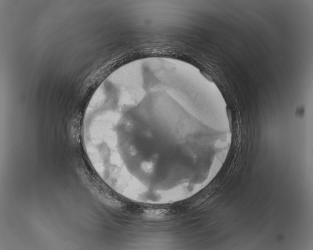 X0000115090450200912081239