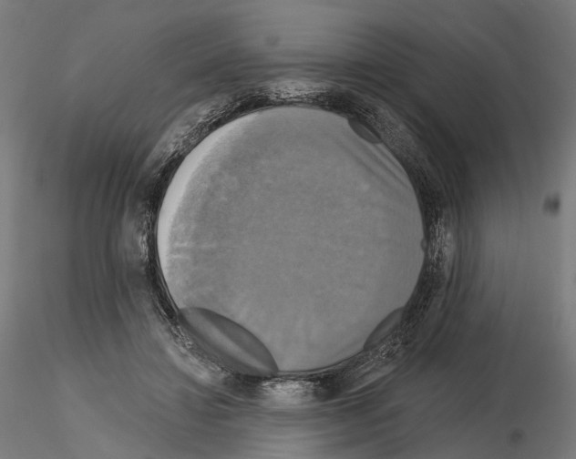 X0000115090452200912081239