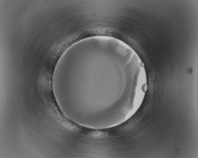 X0000115090453200912081239