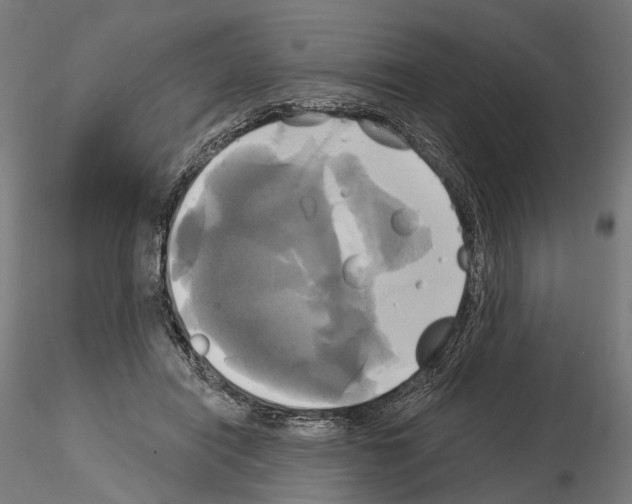 X0000115090454200912081239