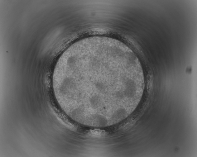X0000115090455200912081239
