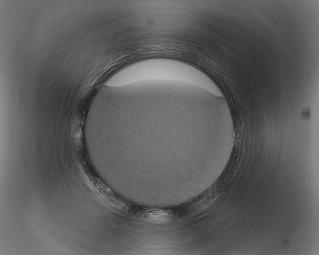 X0000115090456200912081239