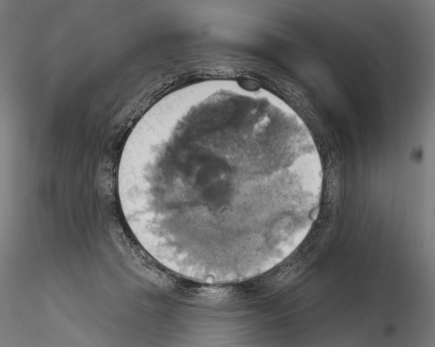 X0000115090457200912081239