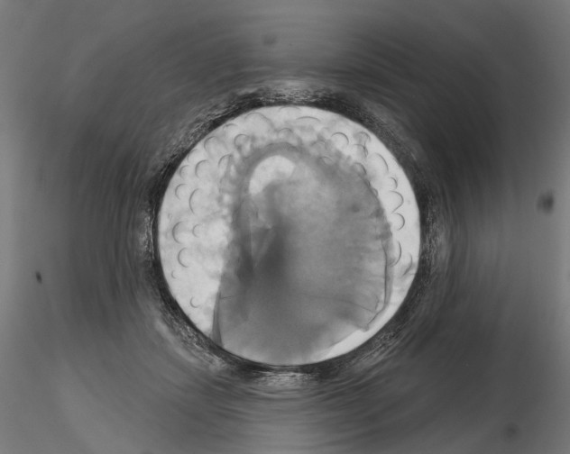 X0000115090459200912081239