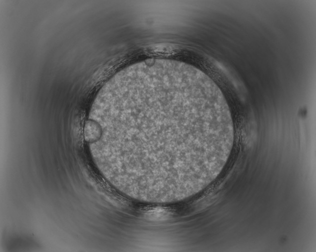 X0000115090460200912081239