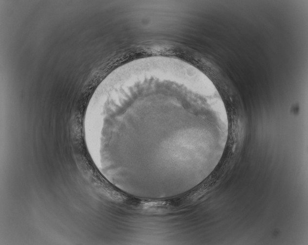 X0000115090461200912081239
