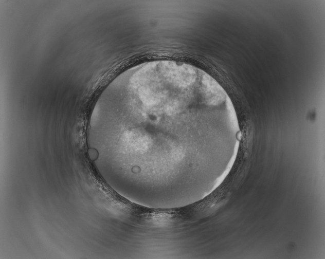 X0000115090462200912081239