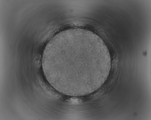 X0000115090464200912081239
