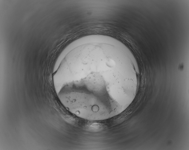 X0000115090467200912081239