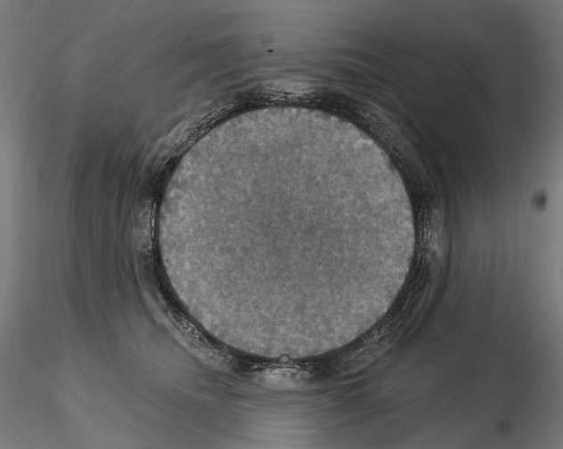 X0000115090468200912081239