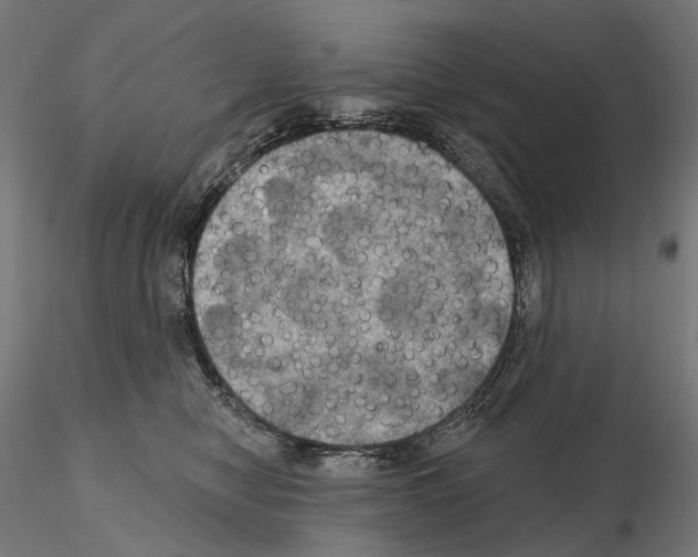 X0000115090470200912081239