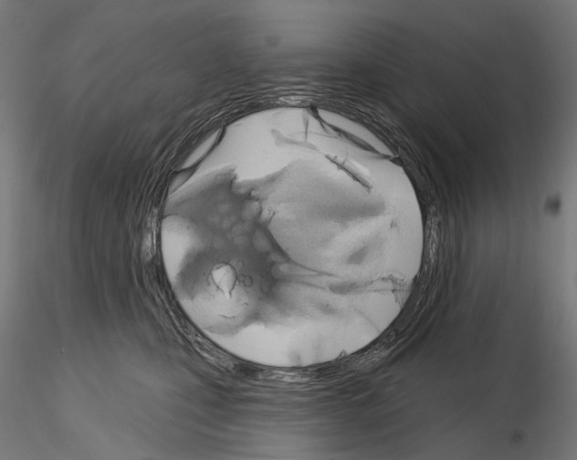 X0000115090471200912081239