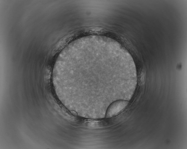 X0000115090472200912081239