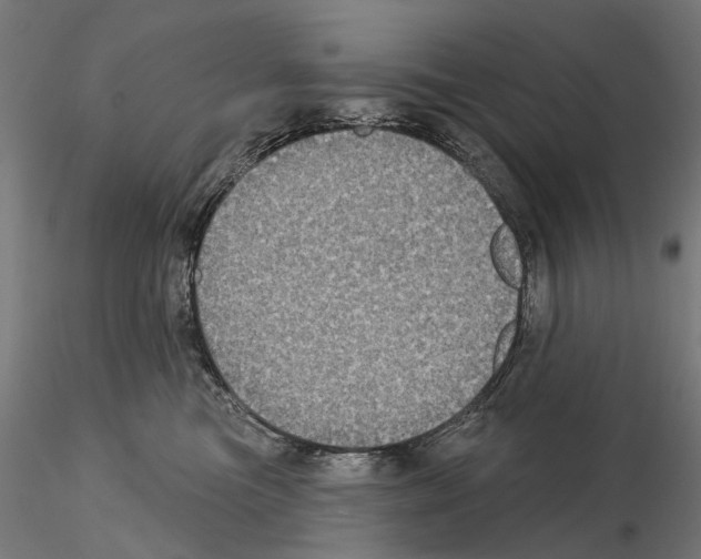 X0000115090473200912081239