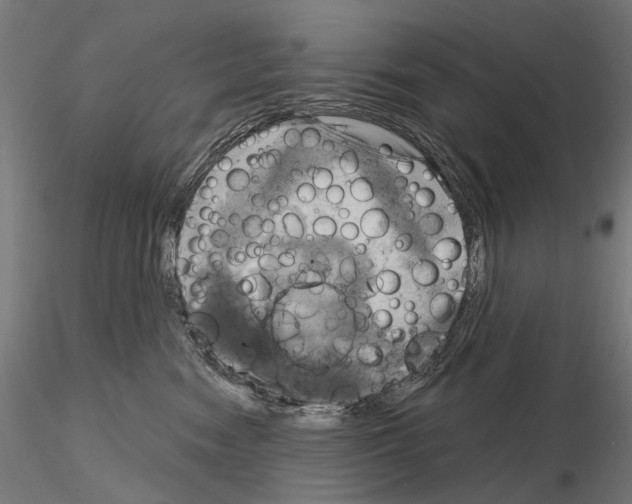 X0000115090474200912081239