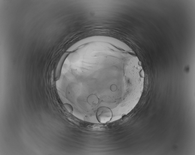 X0000115090475200912081239