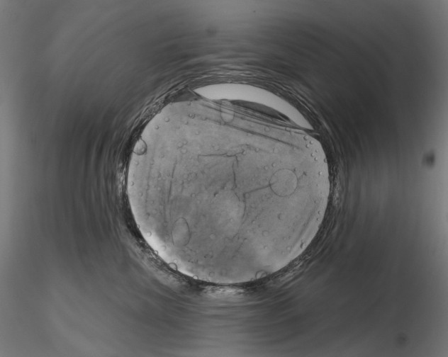 X0000115090476200912081239